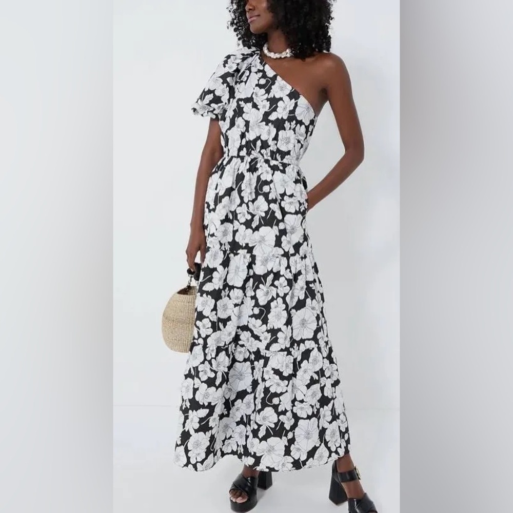 NWT Tuckernuck Dress